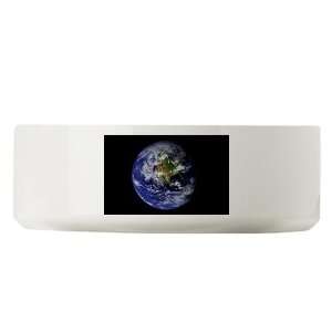  Large Dog Cat Food Water Bowl Earth   Planet Earth The 