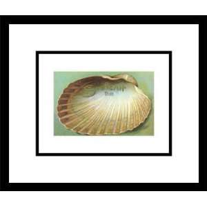 Clam Shell, Souvenir from   , Framed Print by Unknown, 16x14