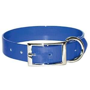  Sunglo Collars   Regular   3/4   Blue   20