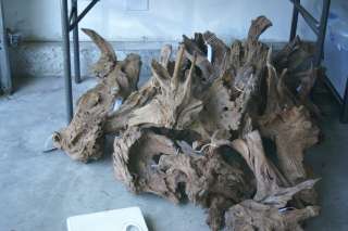 Lot of 5 Malaysian Driftwood Mid Size 13~15 Bulk Pack  
