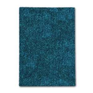  JQ1 69 Shag Collection Hand Tufted Area Rug, Vareigated Turquoise 