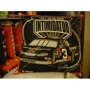  Dale Earnhardt Racing Car Pillow 