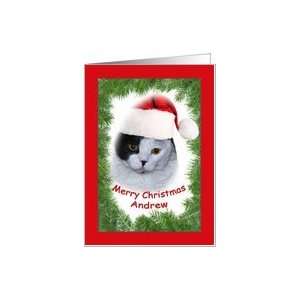  Christmas Card for Andrew with Cat in a Hat Card Health 