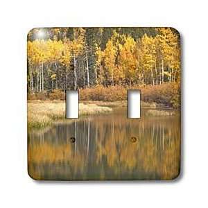 Bob Kane Photography Aspens   Golden Aspens Reflecting in Beaver Pond 