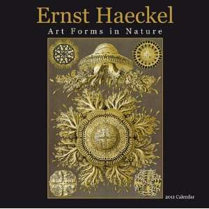  Ernst Haeckel Art Forms in Nature Wall Calendar 2011