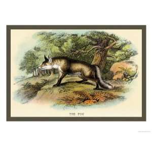  The Fox Giclee Poster Print by Sir William Jardine, 32x24 
