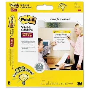   Easel Pad, Blank, 15x16, WE, Two 20 Sheet Pads/pk    Sold as 1 PK