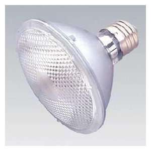    75PAR30/FL40/120V 75 Watt PAR30 Flood Light Bulb