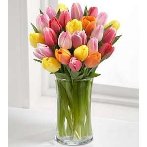 Rush Of Color Assorted Tulip Flower Bouquet   25 Stems   Vase Included 
