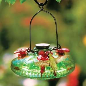   Geographic Handblown Glass Hummingbird Feeder Patio, Lawn & Garden