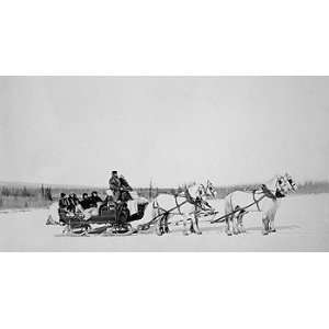  Horse Drawn Sleigh (and Mail Sled), Alaska, ca. 1920 