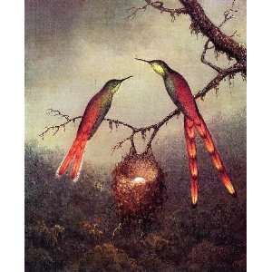   Hummingbirds Garding an Egg, By Heade Martin Johnson
