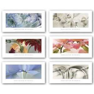  Witherill Flowers Set (Six Prints) by Huntington Witherill 