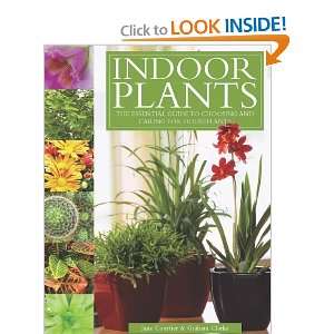 Indoor Plants The Essential Guide to Choosing and Caring for 