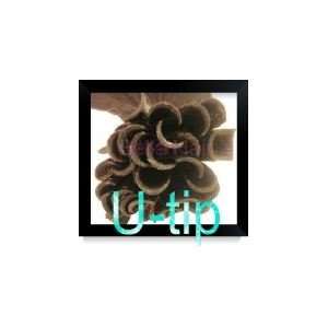  Bella Hair X Human hair Extensions 100 Pieces U tip 
