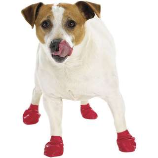 Dog Boots Pawz 3 Sets Summer Winter Shoes XS Size  