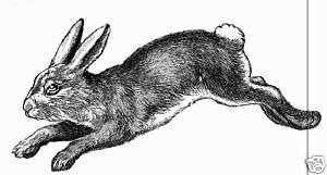 Rabbit Rubber Stamp WM 2x1 Victorian style  