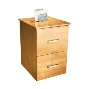  OfficeMax Oak Finish 2 Drawer Vertical File Cabinet 