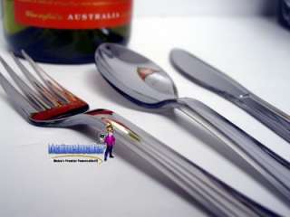 New Elegant Disposable Plastic Silverware 120PC Set Forks Spoons 