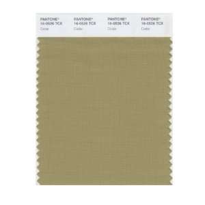  PANTONE SMART 16 0526X Color Swatch Card, Cedar