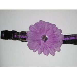   Flower Dog and Cat Collar 1/2 Wide, Adjustable 10 14