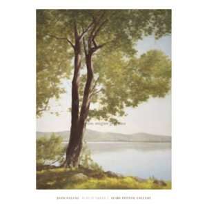  Sunlit Trees I by John Folchi 34x46