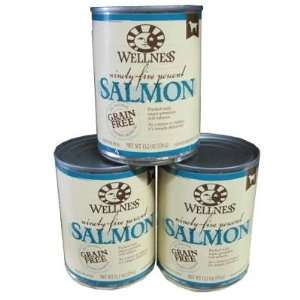  Wellness 95% Salmon Recipe Dog Food 13oz Case Pet 