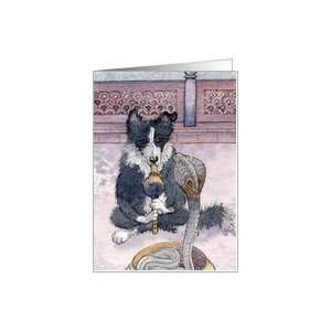  border collie, dog, snake charmer, blank card, Card 