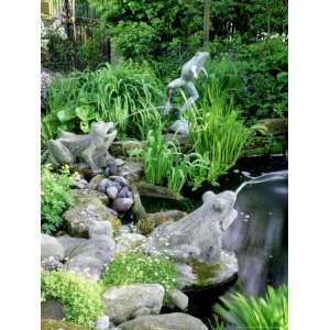  Stone Frog Fountains, Cobbles and Rocks Around Pond 