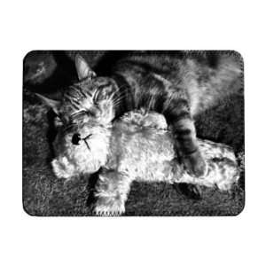  Cat and teddy bear hugging   iPad Cover (Protective Sleeve 