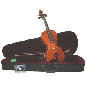   Violin with Case and Bow+Extra Set of Strings, Extra Bridge, Rosin